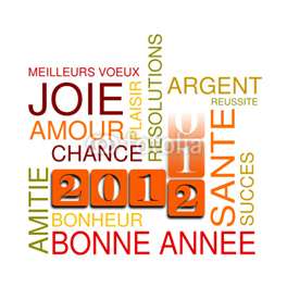 bonne année 2012.jpg
