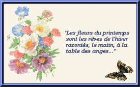 fleurs.jpg